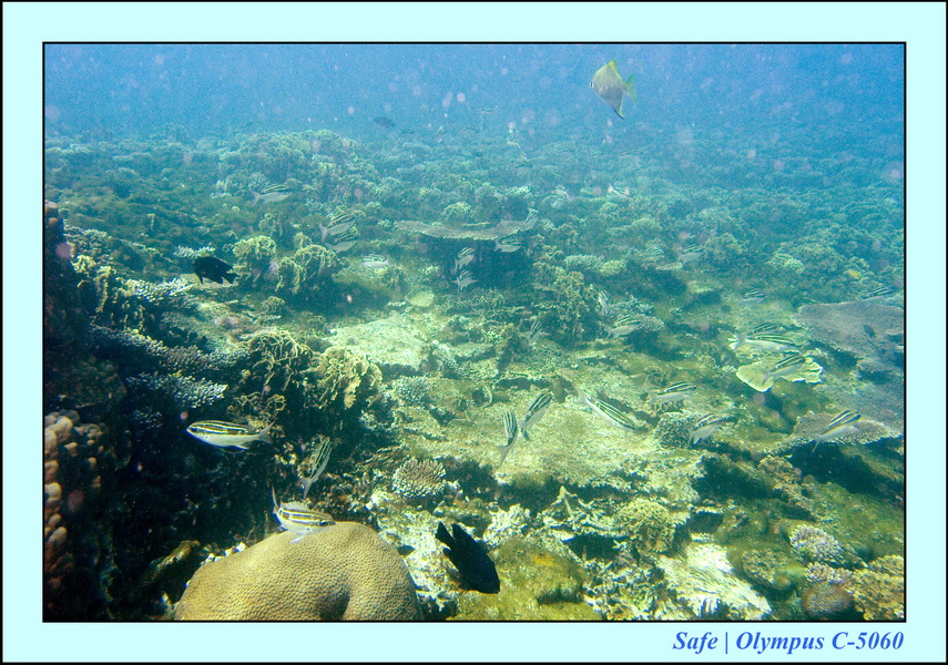 2008 - 07 - Redang - 070